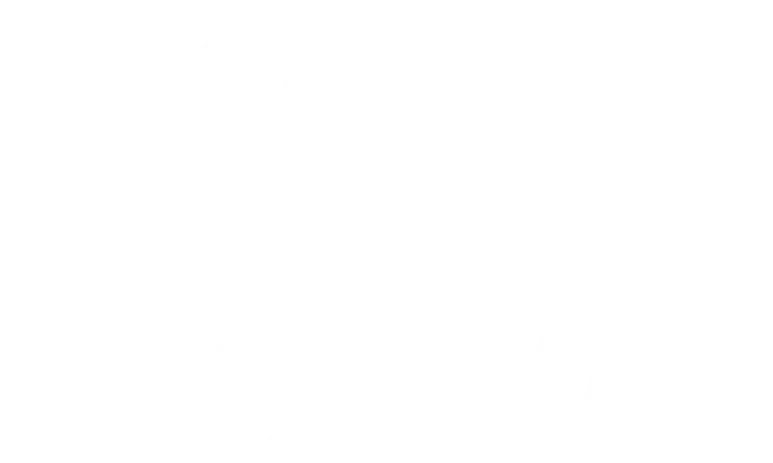 Dantz Festival