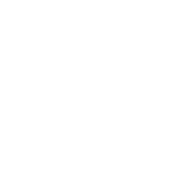 diario_vasco_logo_blanco_transparente